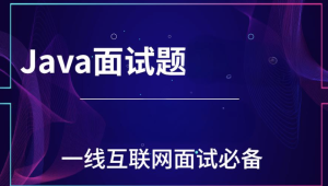 一线互联网Java面试核心点(100万字)封面图