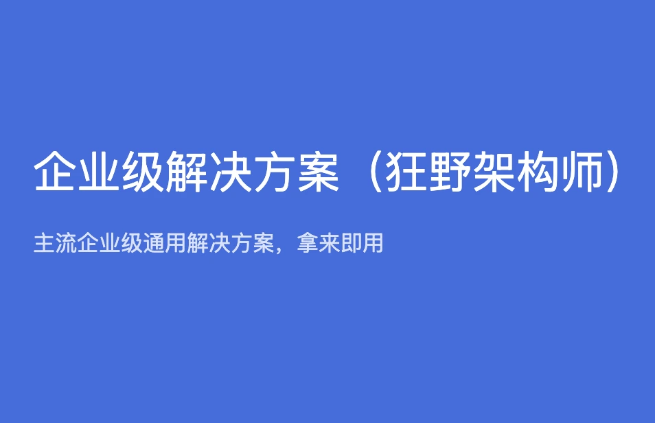 企业级解决方案（狂野架构师）封面图